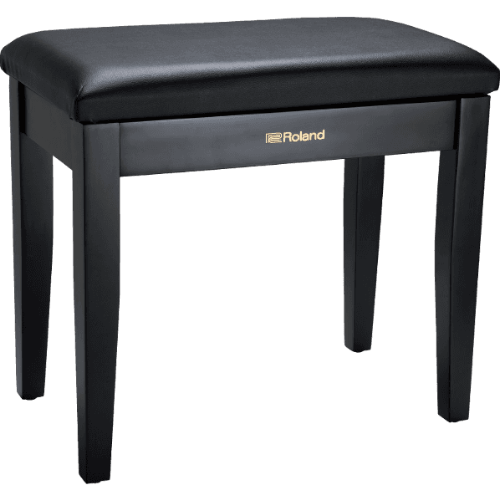 Roland RPB-100BK No backround