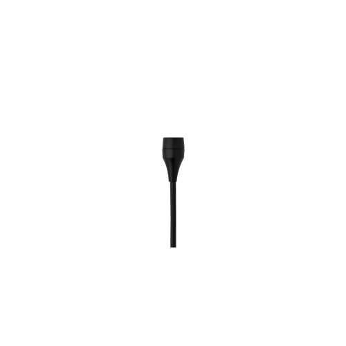 AKG C417L No Backround