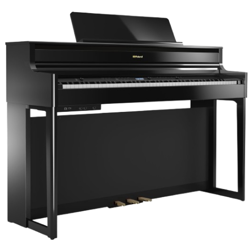 Roland HP-704 No Backround