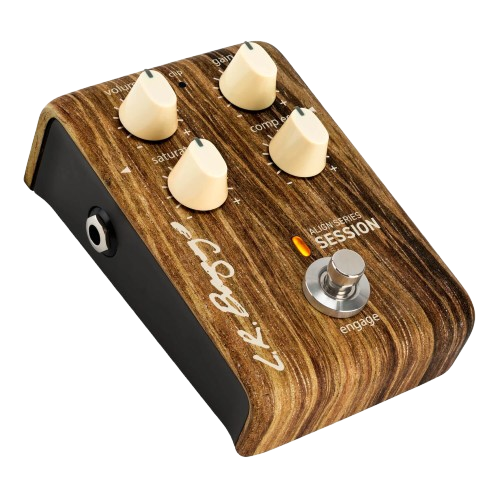 L.R.Baggs Align Session