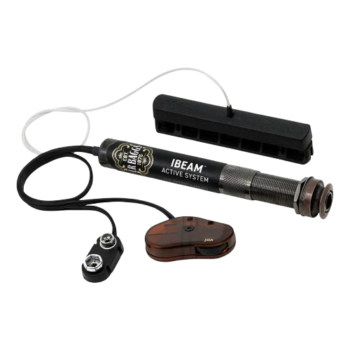 L.R.Baggs Ibeam No Backround