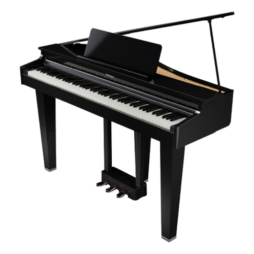 Roland GP-3 PE