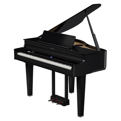 Roland GP-6