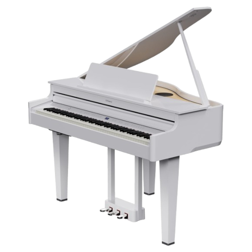 Roland GP-6