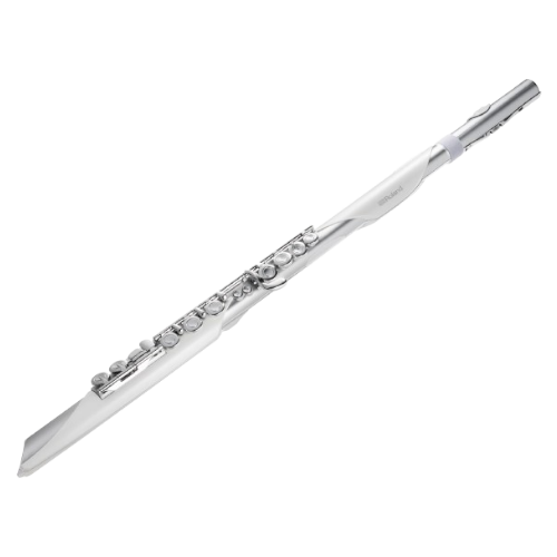Roland Aerophone Brisa