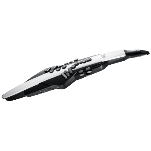 Aerophone AE-20 BK