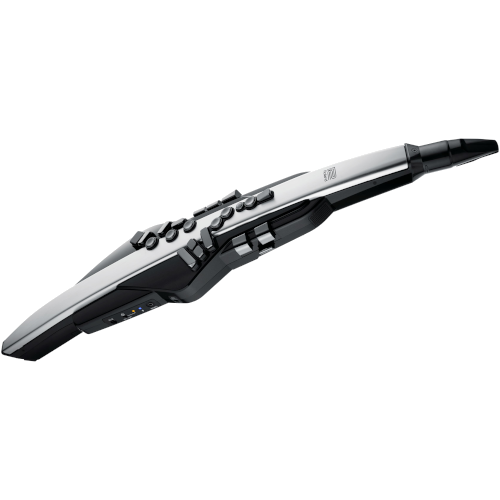 Roland Aerophone AE-30 Pro