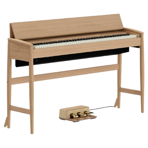 Roland Kiyola KF-20 KO